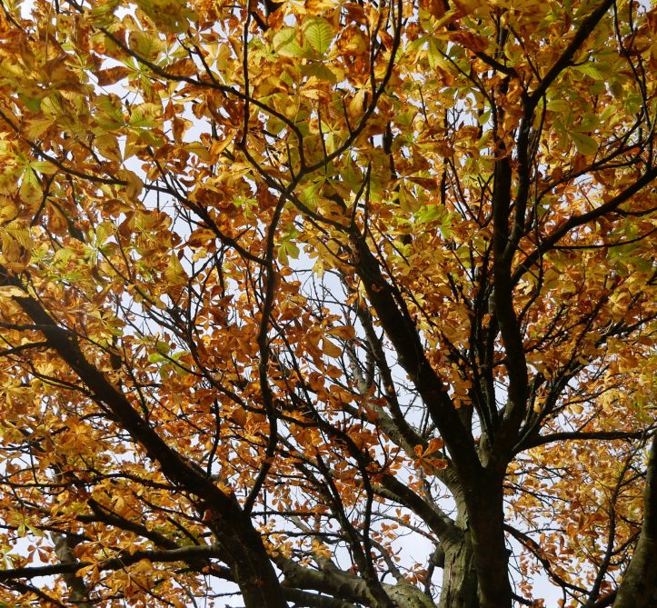 Screenshot 2019-09-27 at 18.34.59